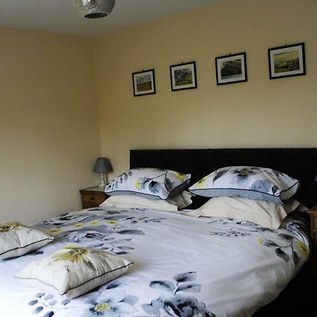 Bro Dafydd Bed and Breakfast Aberystwyth Exteriör bild