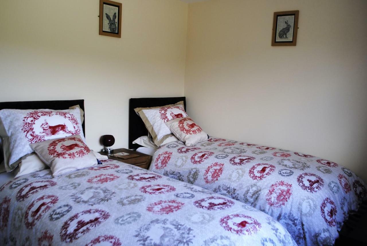 Bro Dafydd Bed and Breakfast Aberystwyth Exteriör bild