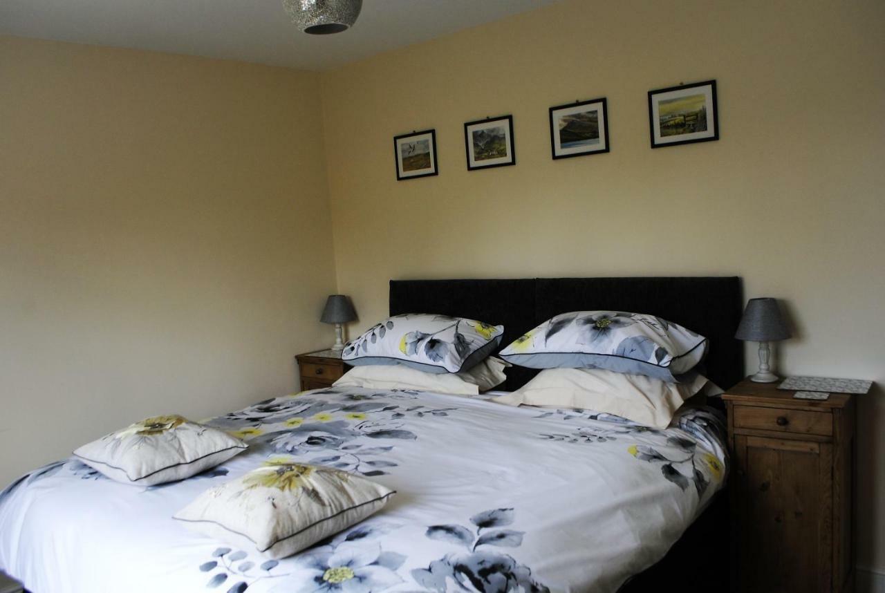 Bro Dafydd Bed and Breakfast Aberystwyth Exteriör bild