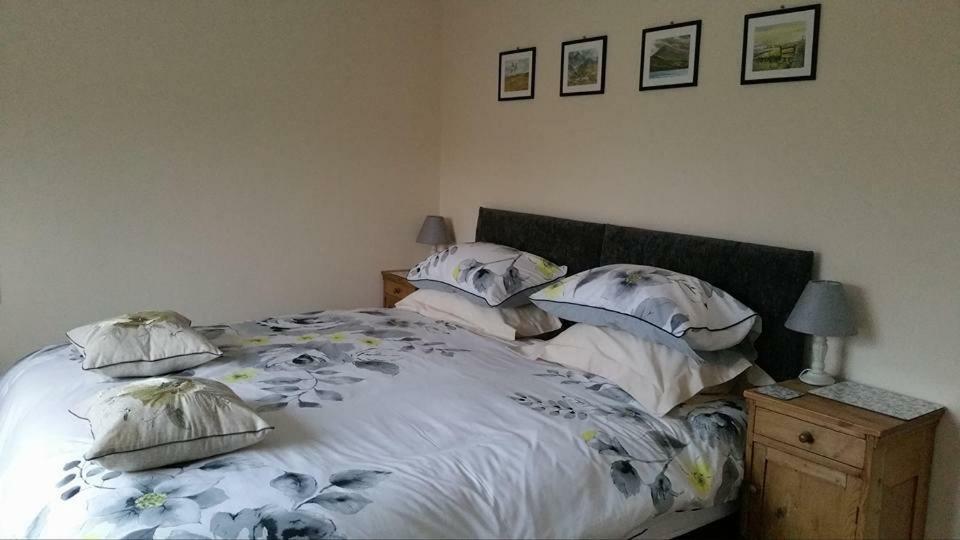 Bro Dafydd Bed and Breakfast Aberystwyth Exteriör bild